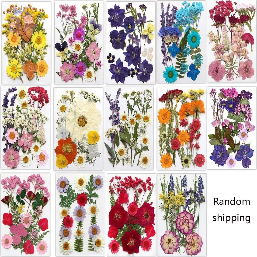 Marcapáginas de flores secas p - Dried Flower Bookmark reseña y precio